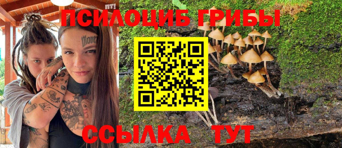 Псилоцибиновые грибы Cubensis  Вход с VPN  Серов  закладки  Псилоцибиновые грибы прущие грибы 