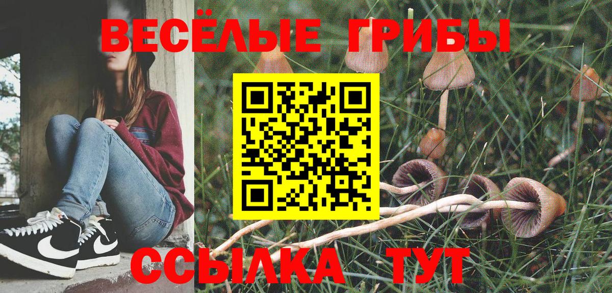 Псилоцибиновые грибы Cubensis Серов