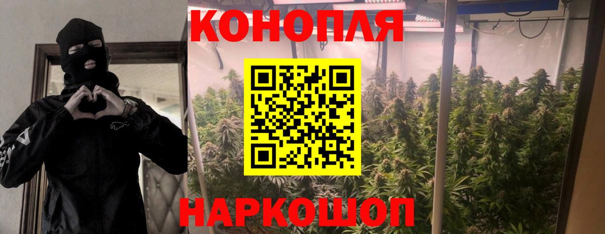 Бошки марихуана SATIVA & INDICA  Марихуана гибрид  Серов  Вход с VPN 